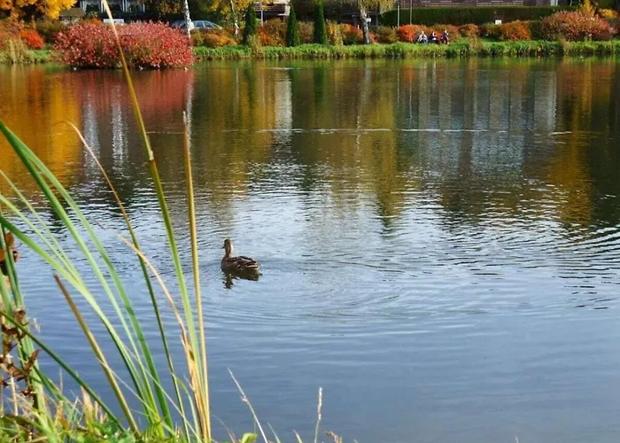 度假居 Koehnke 7 Comfortable 戈斯拉尔